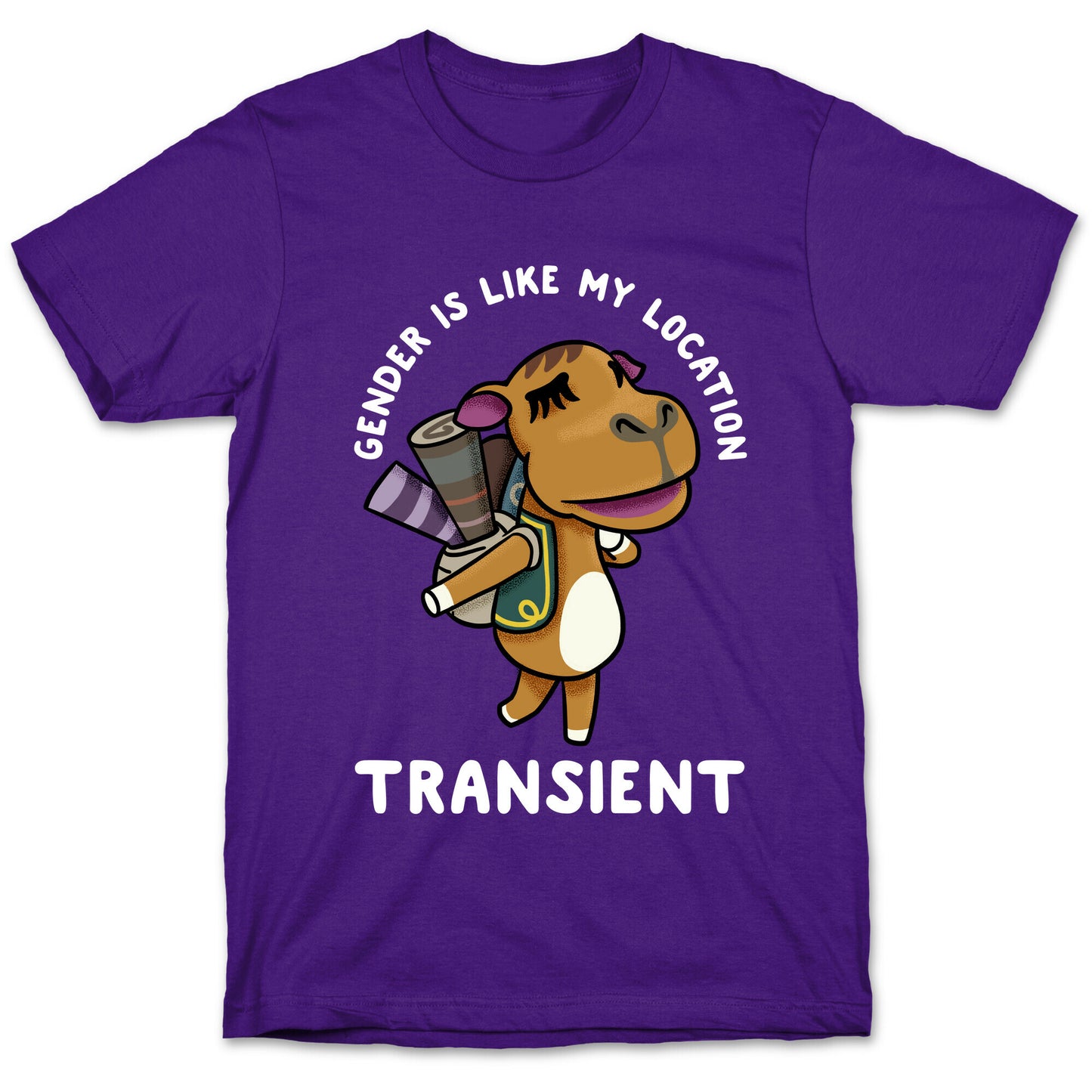 Gender is Like My Location Transient Sahara T-Shirt