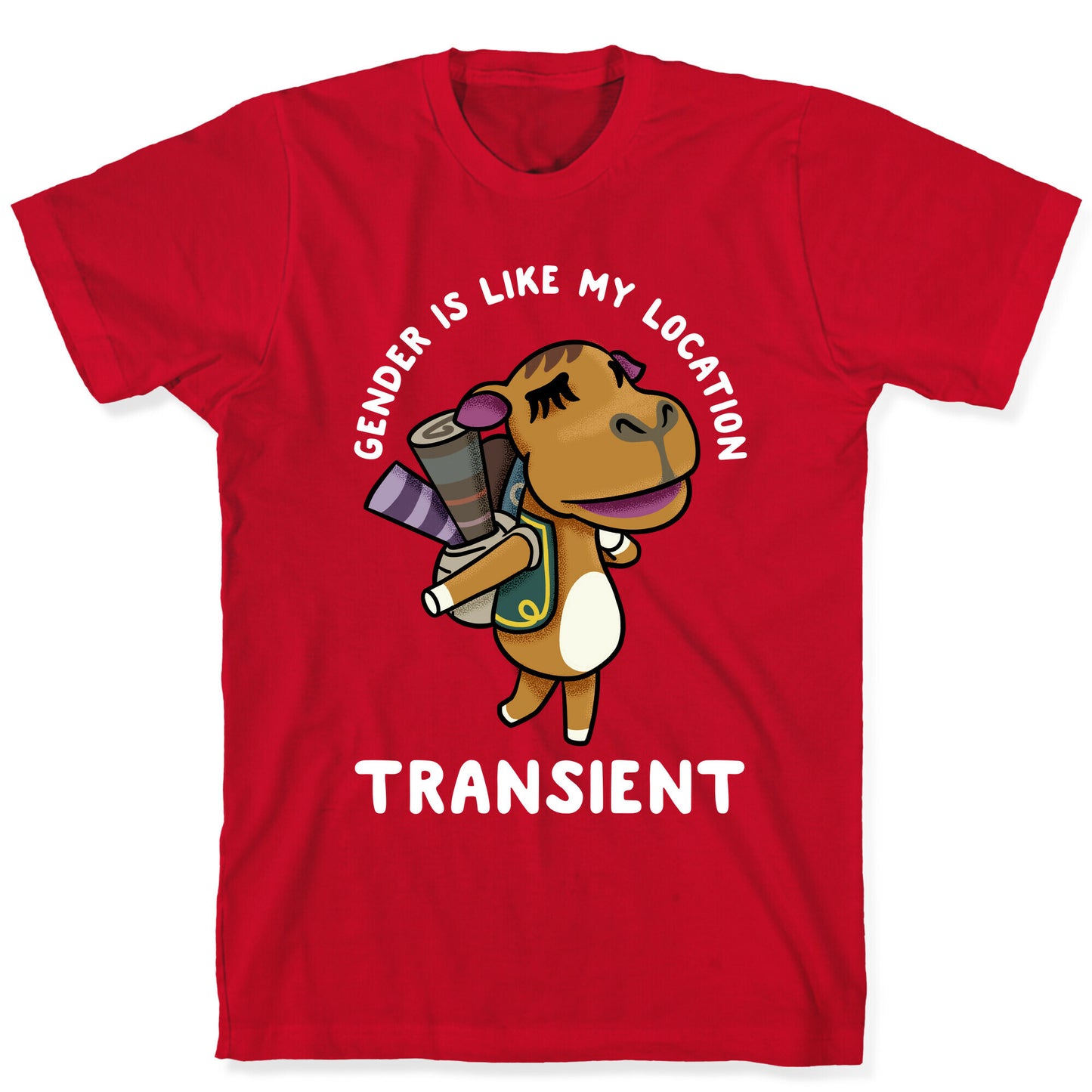 Gender is Like My Location Transient Sahara T-Shirt