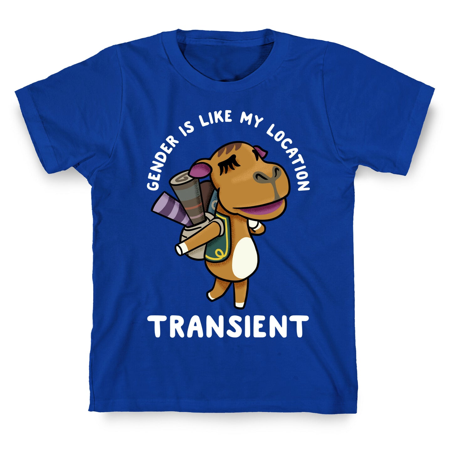 Gender is Like My Location Transient Sahara T-Shirt
