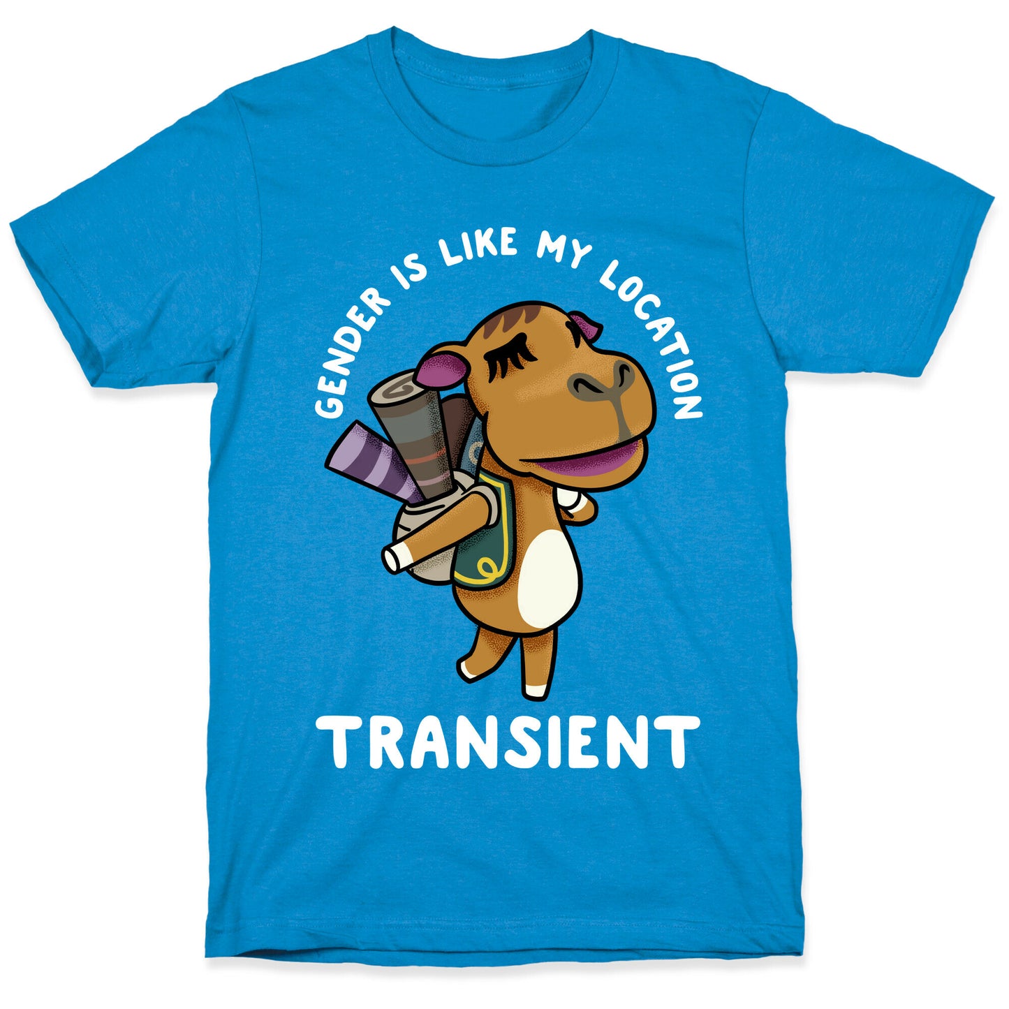 Gender is Like My Location Transient Sahara T-Shirt