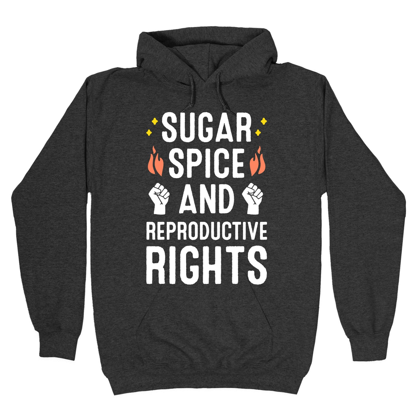 Sugar, Spice, And Reproductive Rights Hoodie
