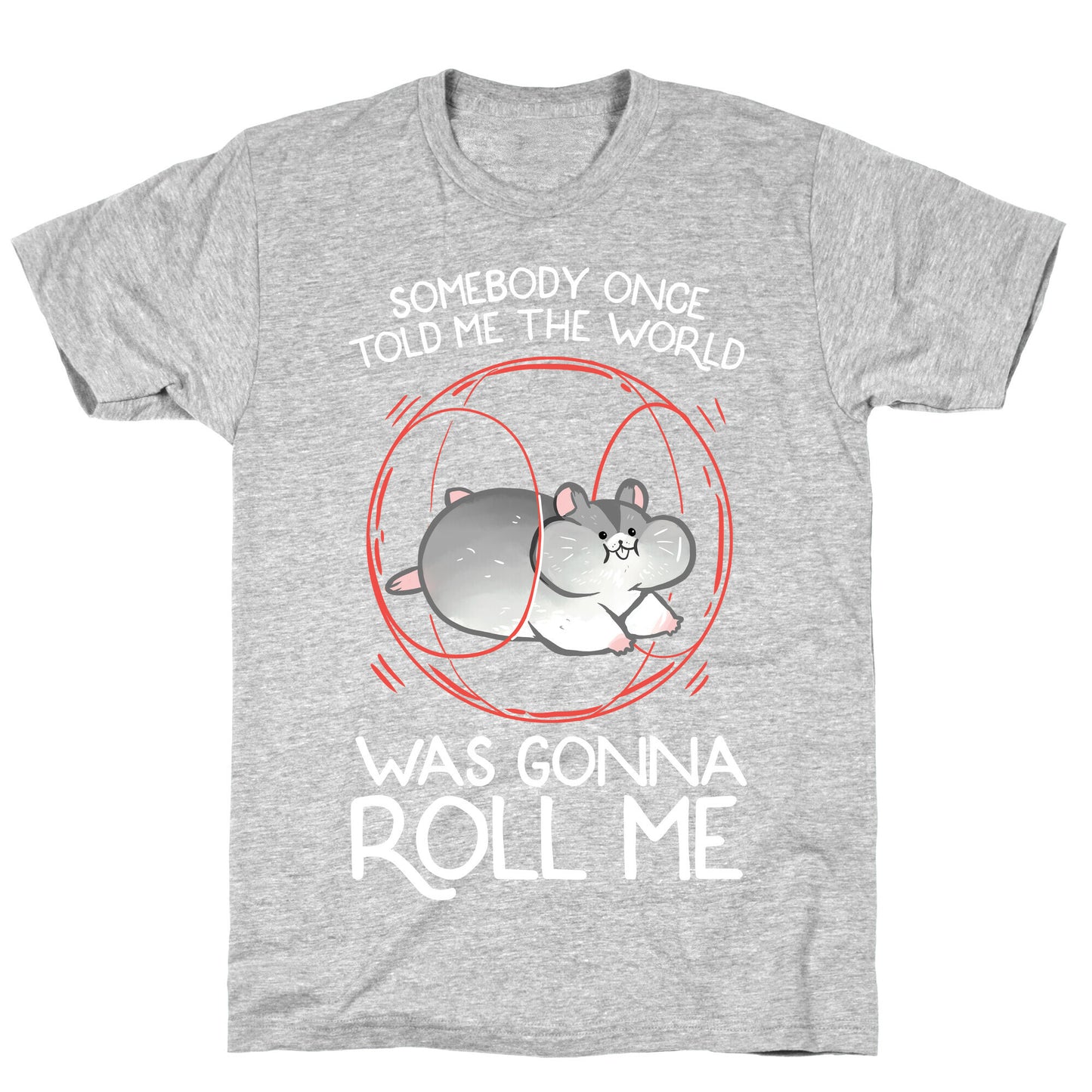 Somebody Once Told Me The World Was Gonna Roll Me T-Shirt
