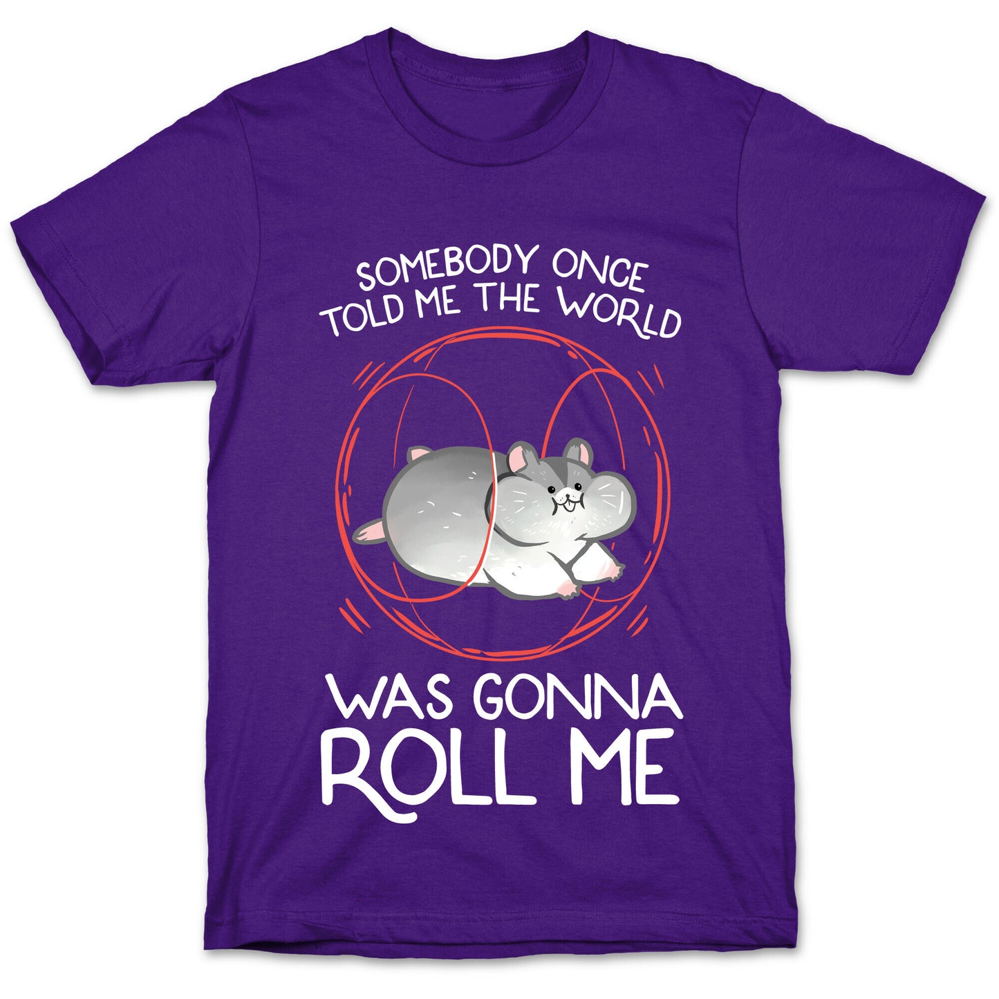 Somebody Once Told Me The World Was Gonna Roll Me T-Shirt
