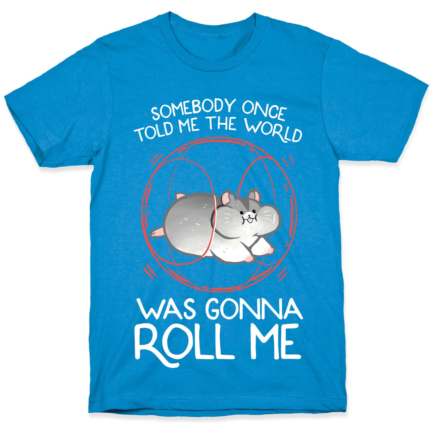 Somebody Once Told Me The World Was Gonna Roll Me T-Shirt