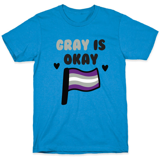 Gray is Okay T-Shirt