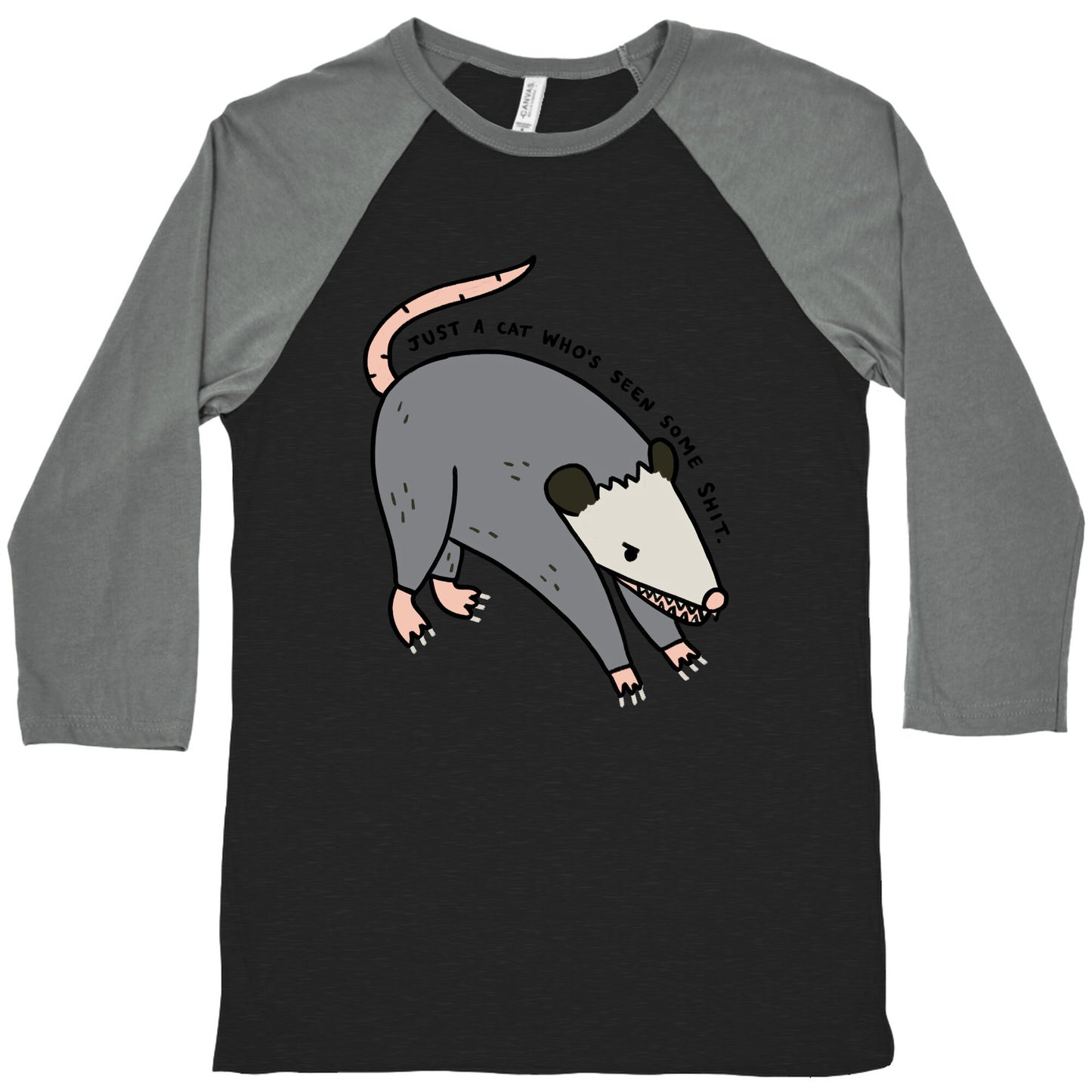 Just A Cat Who's Seen Some Shit Opossum Baseball Tee