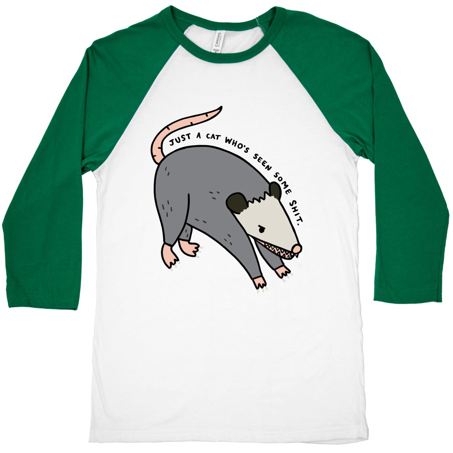 Just A Cat Who's Seen Some Shit Opossum Baseball Tee