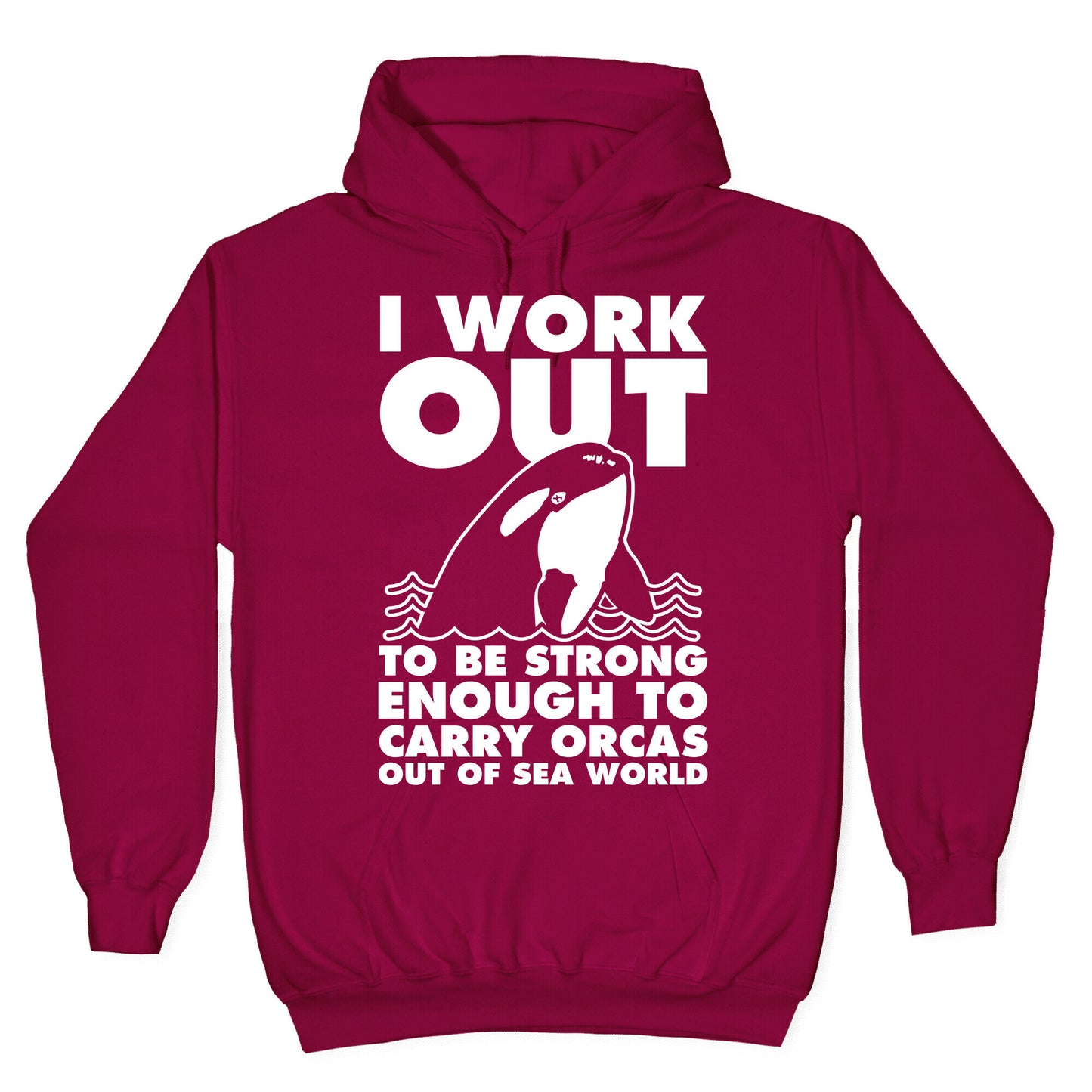 I Work Out to be Strong Enough to Carry Orcas Out of Sea World Hoodie