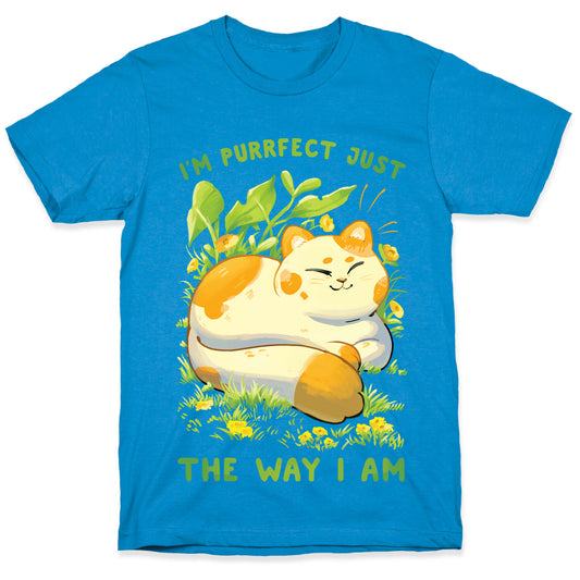 I'm Purrfect Just The Way I Am T-Shirt