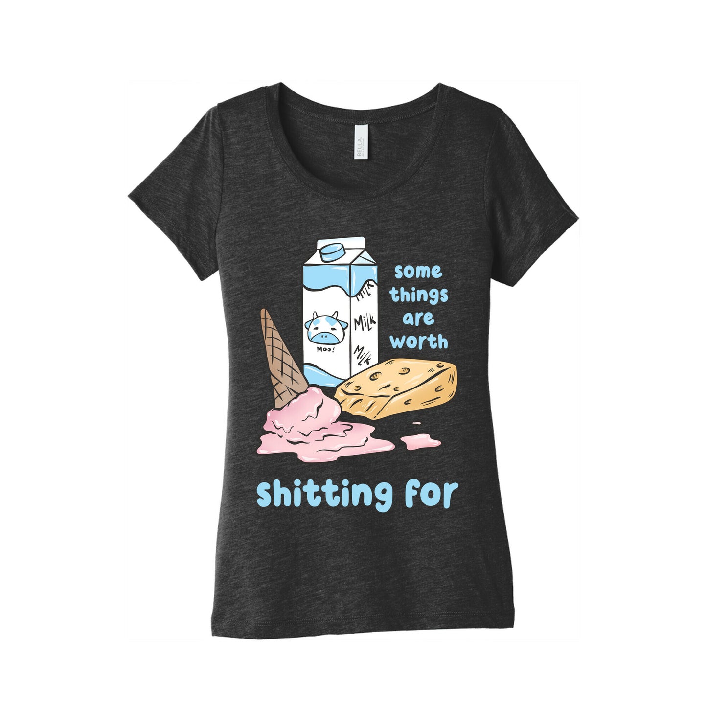 Some Things Are Worth Shitting For Women's Triblend Tee