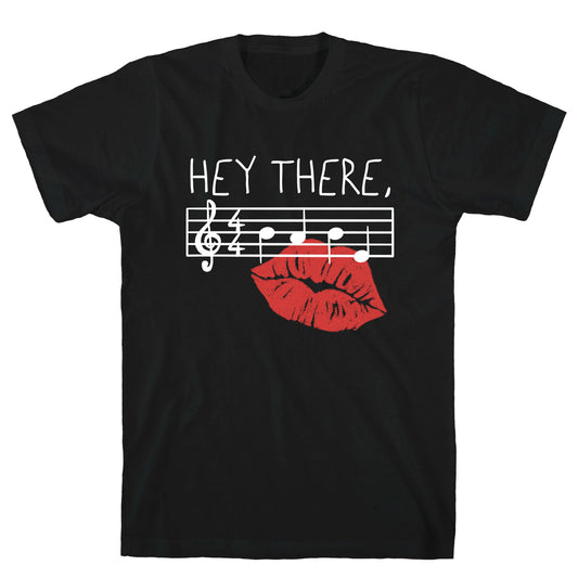 Hey There Babe Music Pun T-Shirt