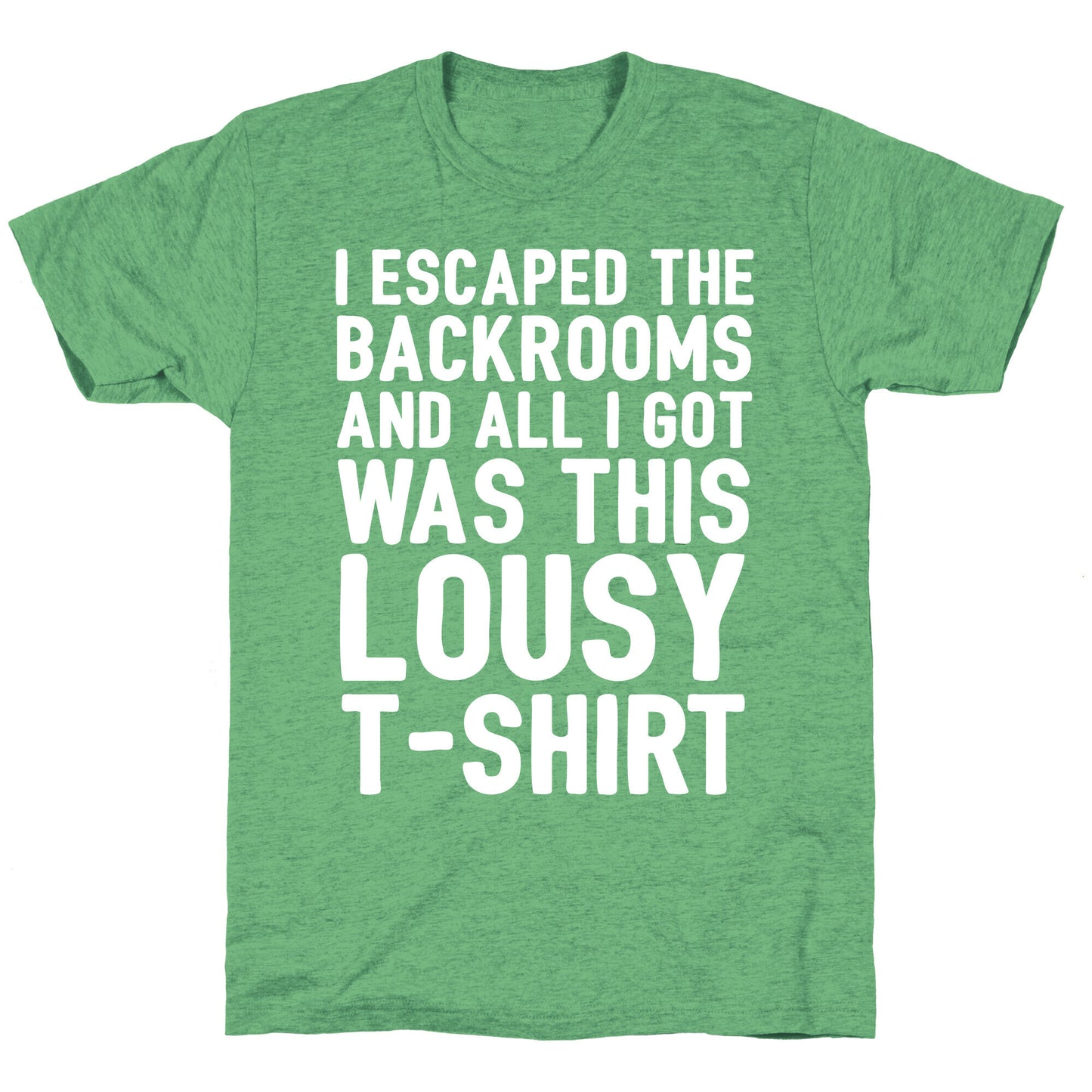 I Escaped The Backrooms And All I Got Was This Lousy T-Shirt Unisex Triblend Tee