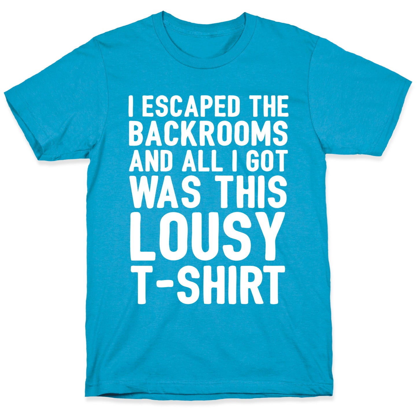 I Escaped The Backrooms And All I Got Was This Lousy T-Shirt Unisex Triblend Tee