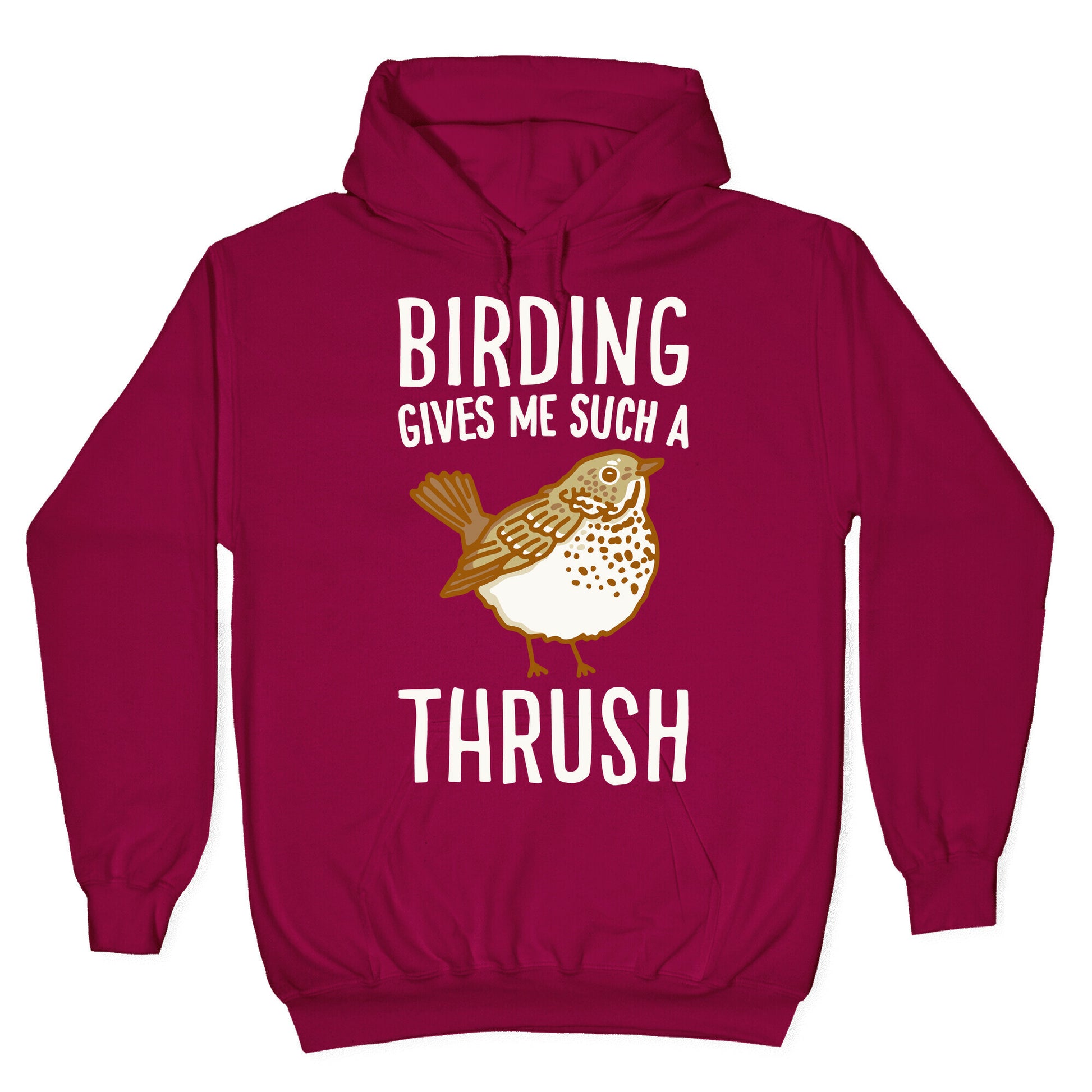 Birding Gives Me Such A Thrush Hoodie