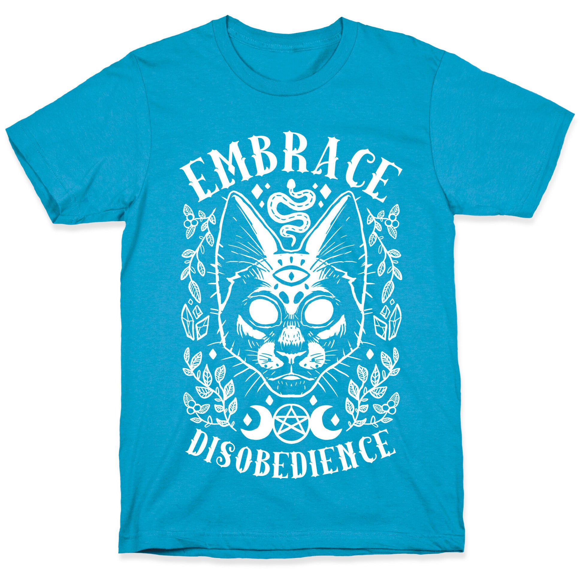 Embrace Disobedience Unisex Triblend Tee