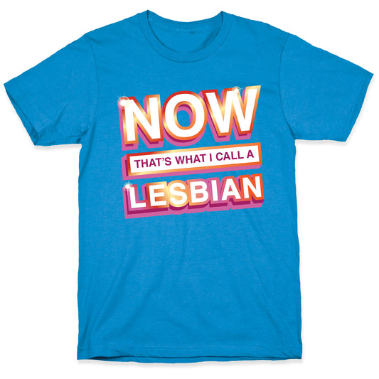 Now That's What I Call A Lesbian T-Shirt