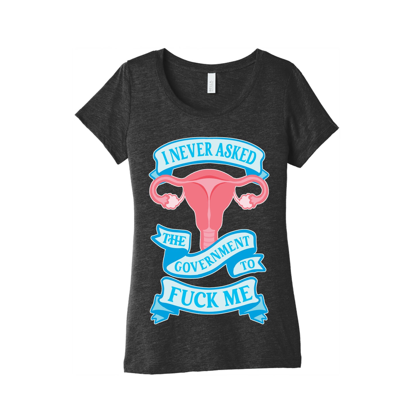 I Never Asked The Government To Fuck Me Women's Triblend Tee