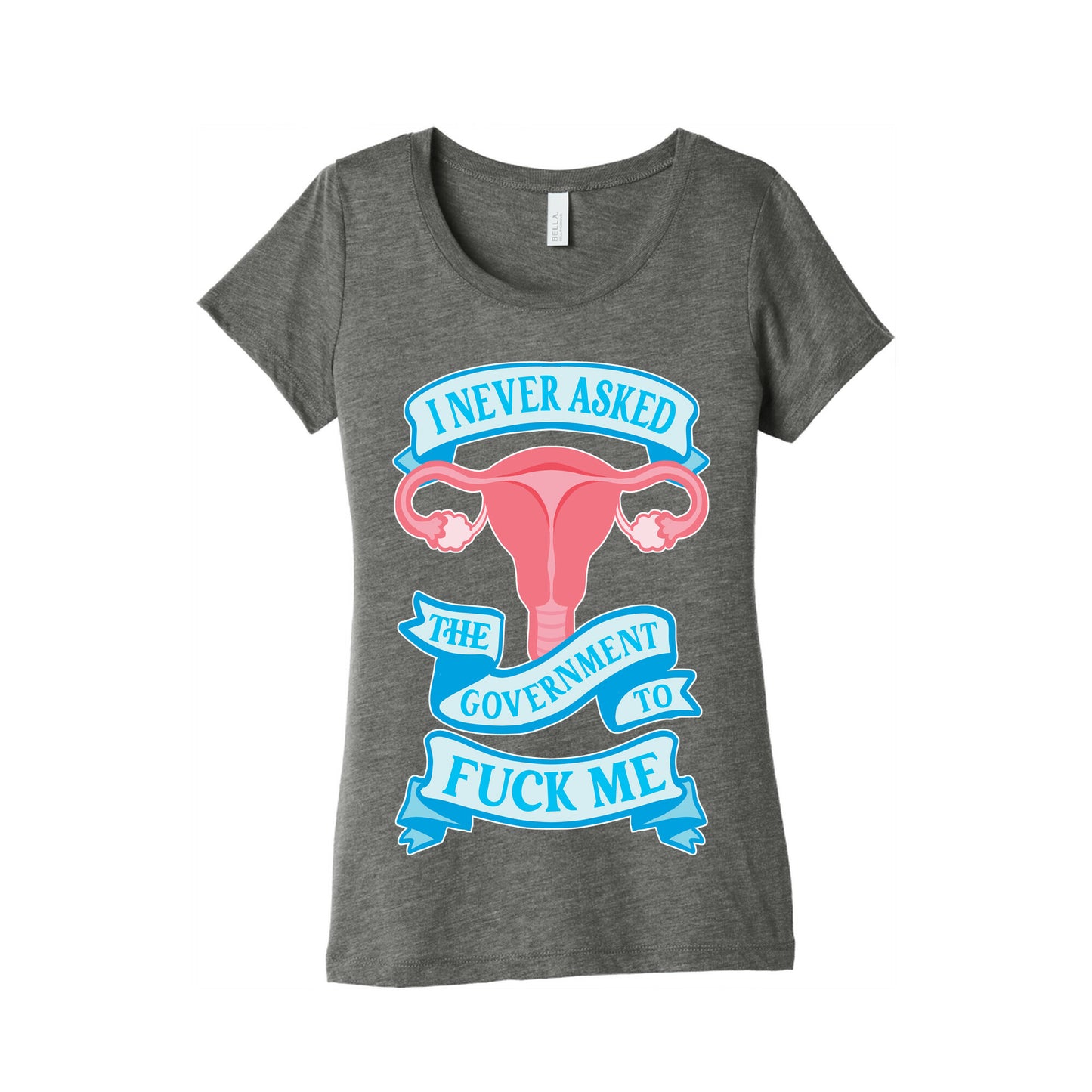 I Never Asked The Government To Fuck Me Women's Triblend Tee