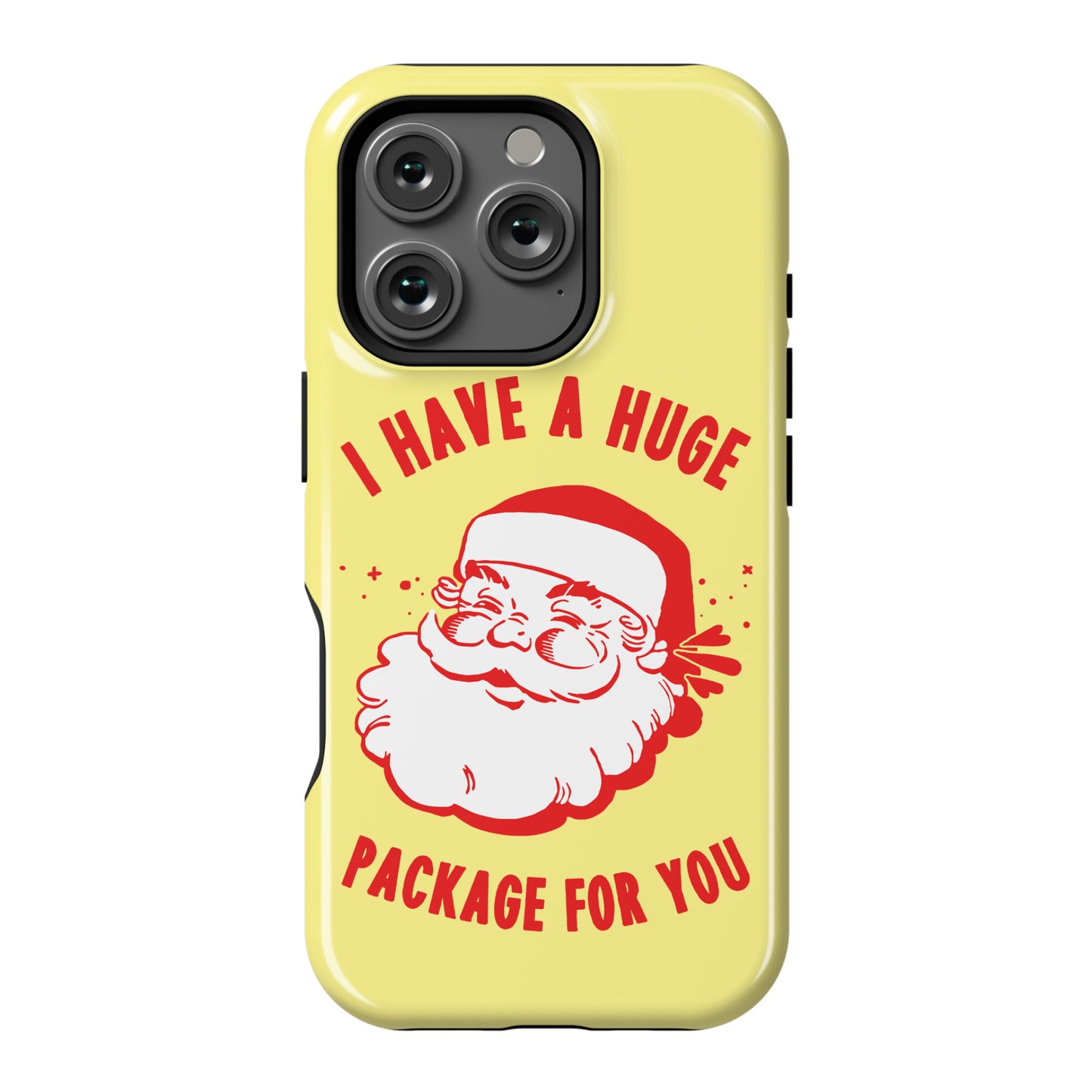 I Have A Huge Package For You Santa Phone Case