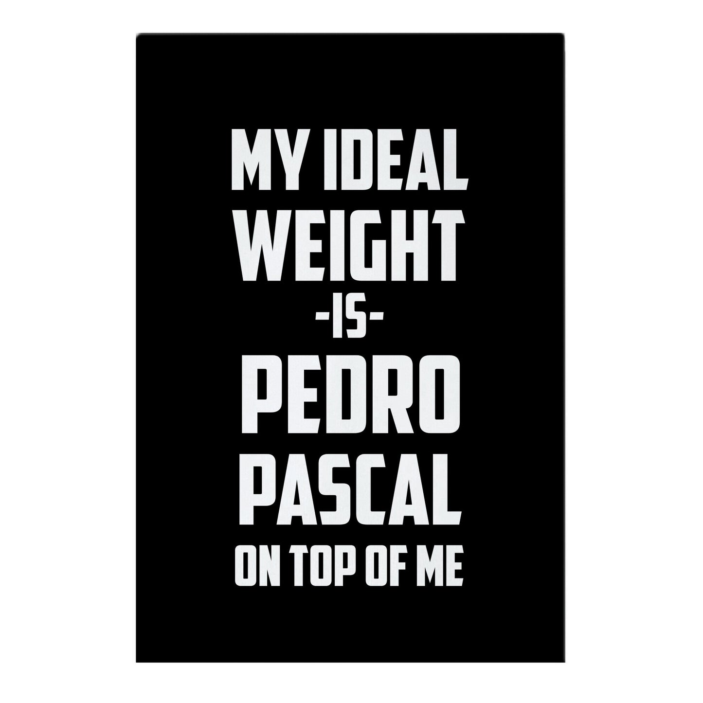 My Ideal Weight Is Pedro Pescal On Top Of Me Garden Flag