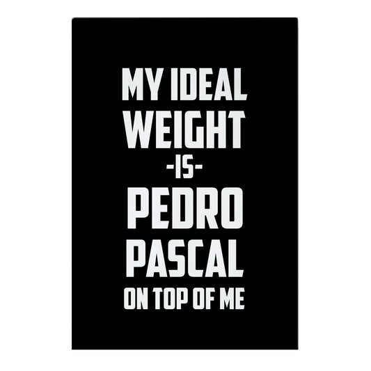 My Ideal Weight Is Pedro Pescal On Top Of Me Garden Flag