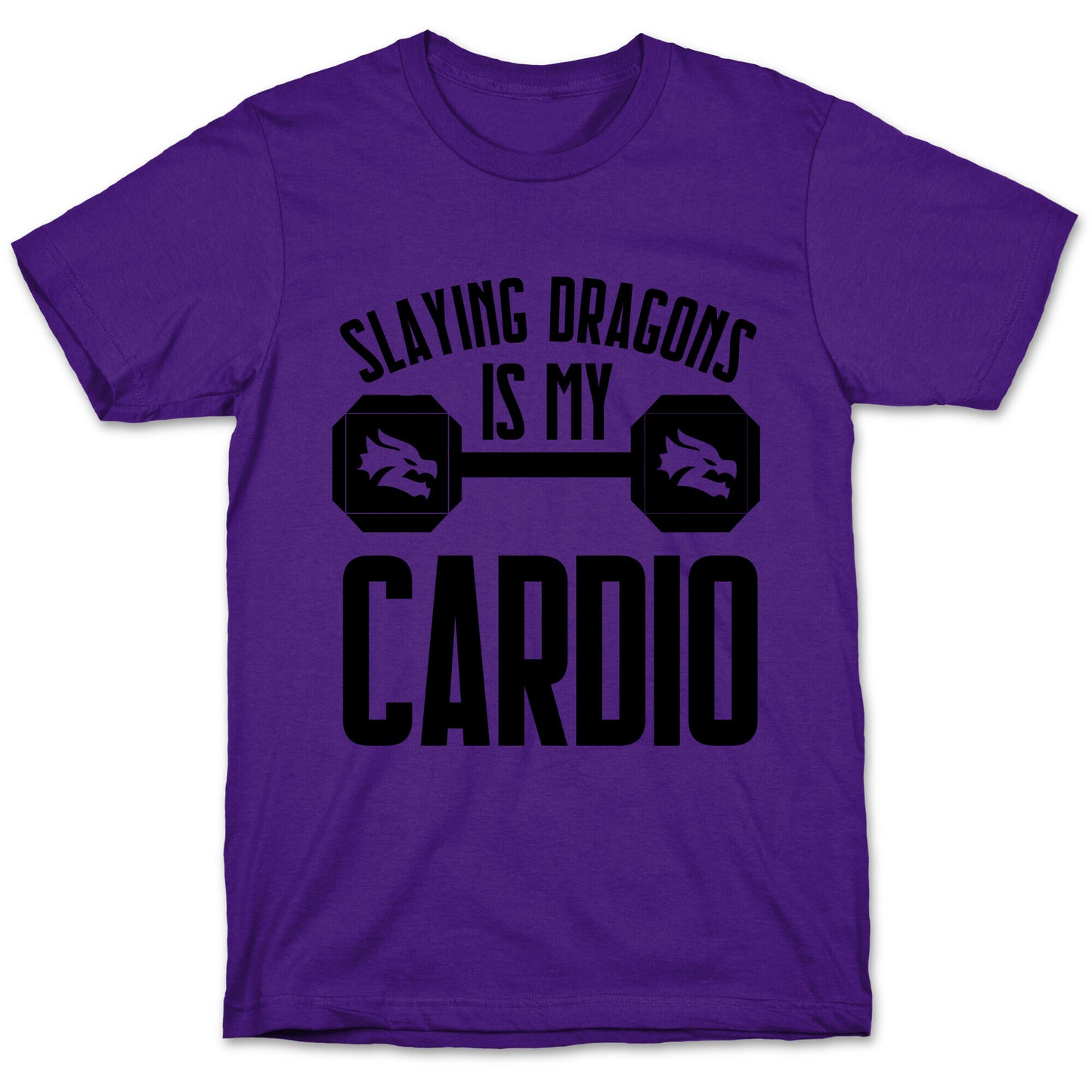Slaying Dragons Is My Cardio T-Shirt