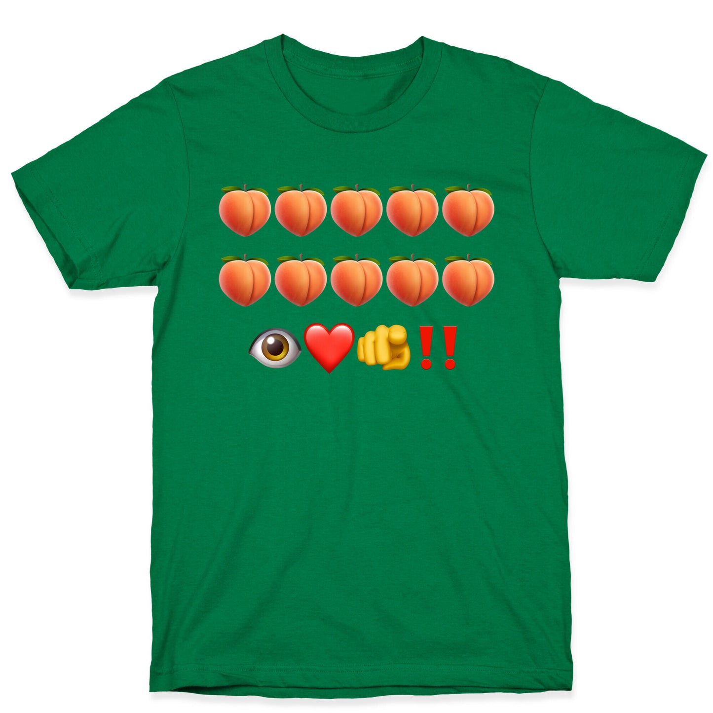 A Turtle’s Ballad T-Shirt
