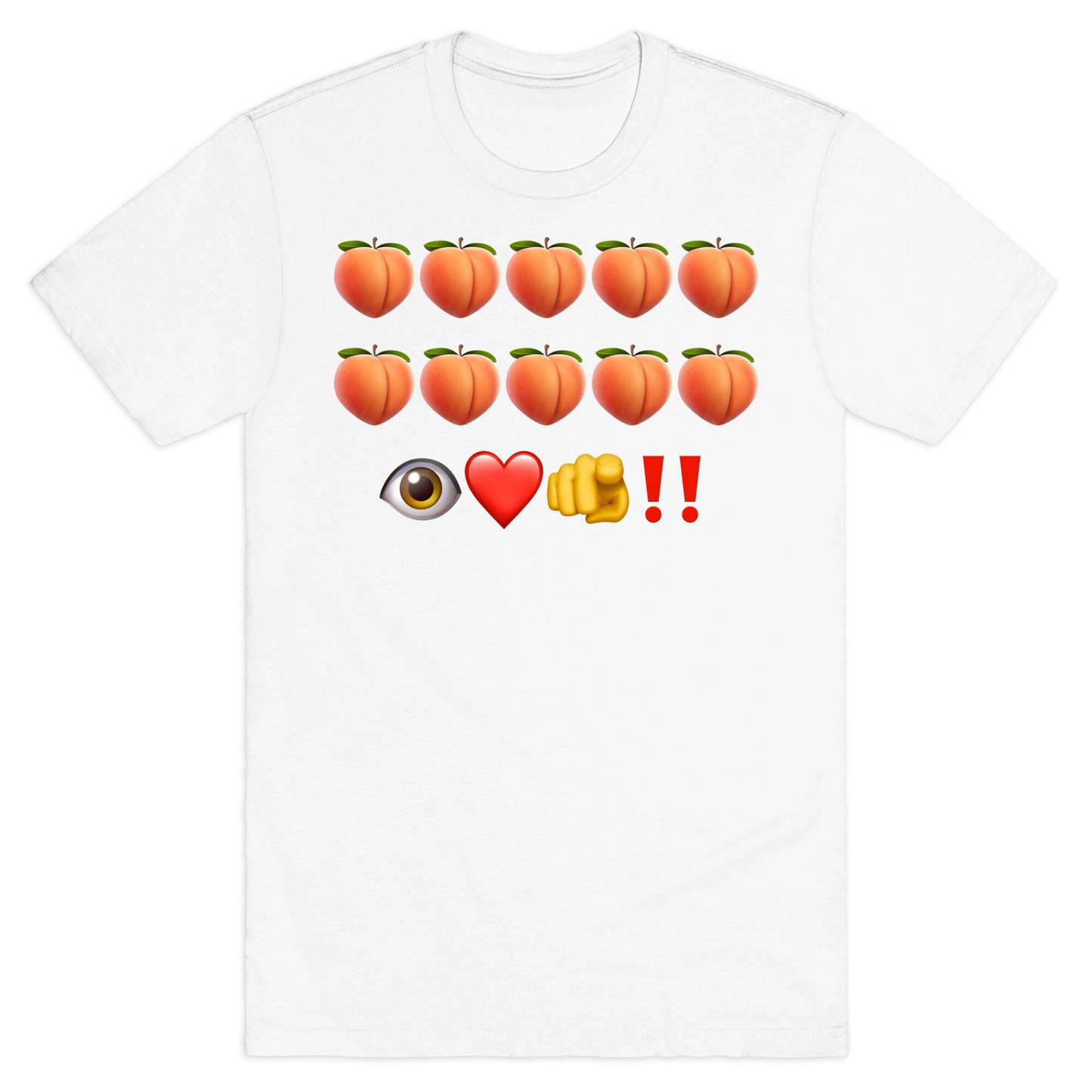 A Turtle’s Ballad T-Shirt