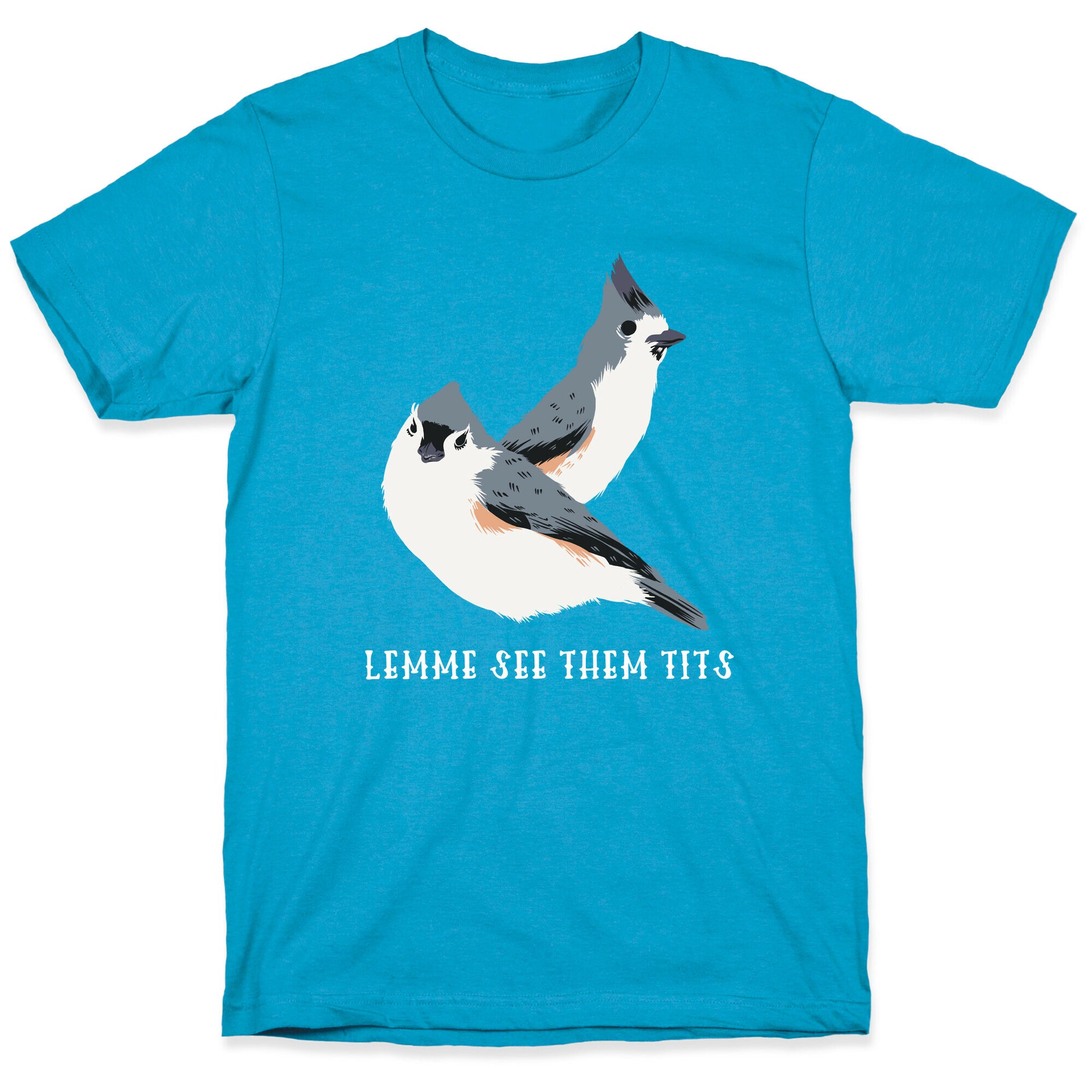 Lemme See Them Tits  Unisex Triblend Tee