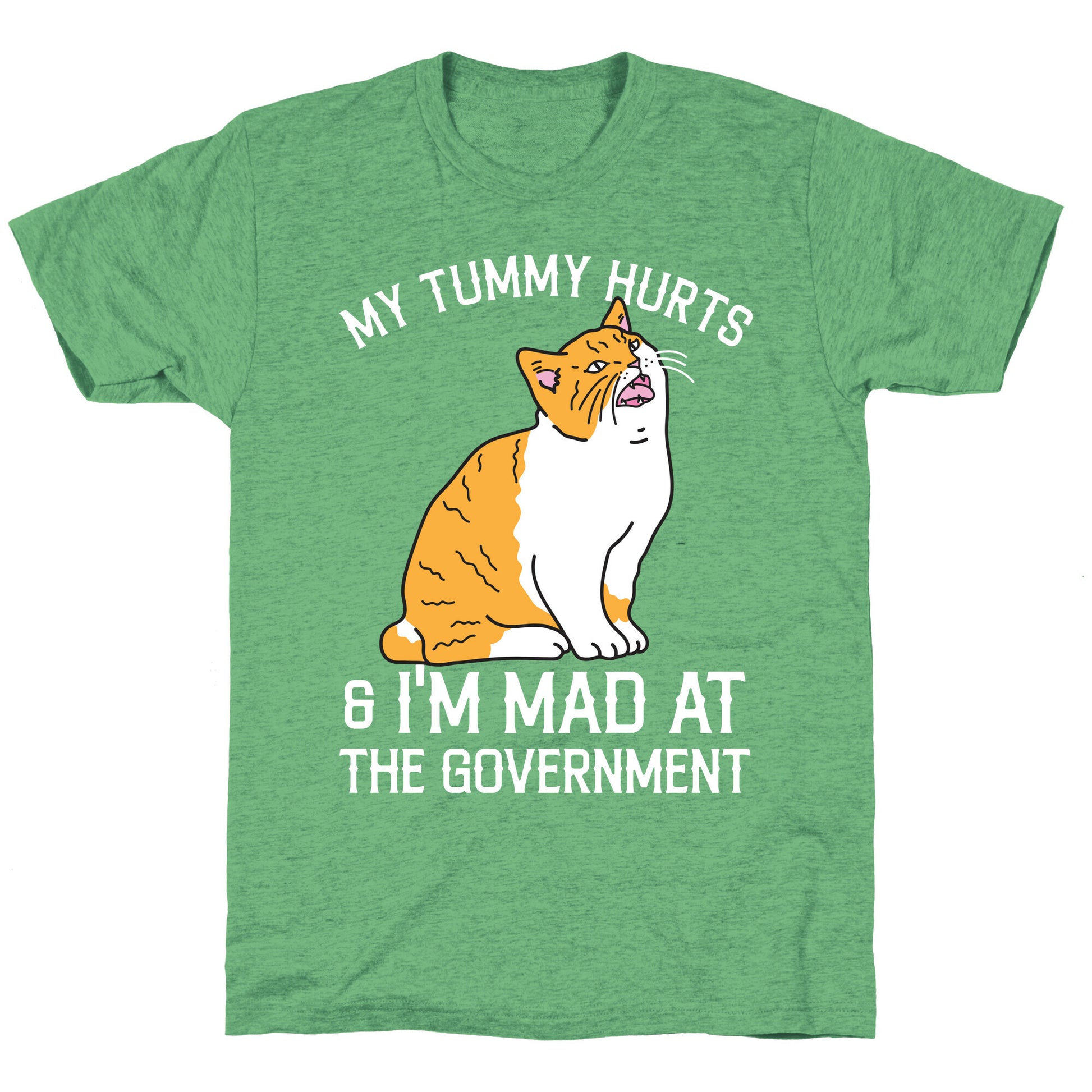 My Tummy Hurts & I'm Mad At The Government  Unisex Triblend Tee