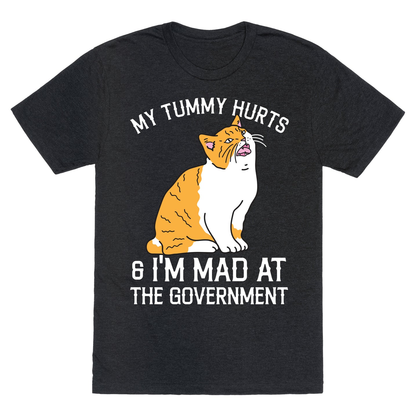 My Tummy Hurts & I'm Mad At The Government  Unisex Triblend Tee