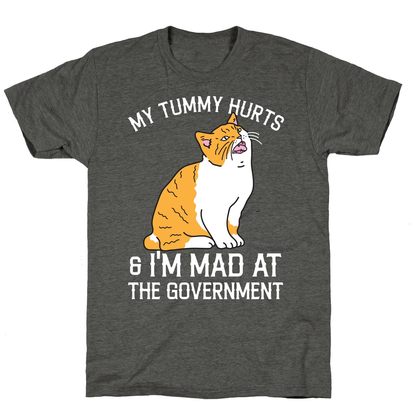 My Tummy Hurts & I'm Mad At The Government  Unisex Triblend Tee