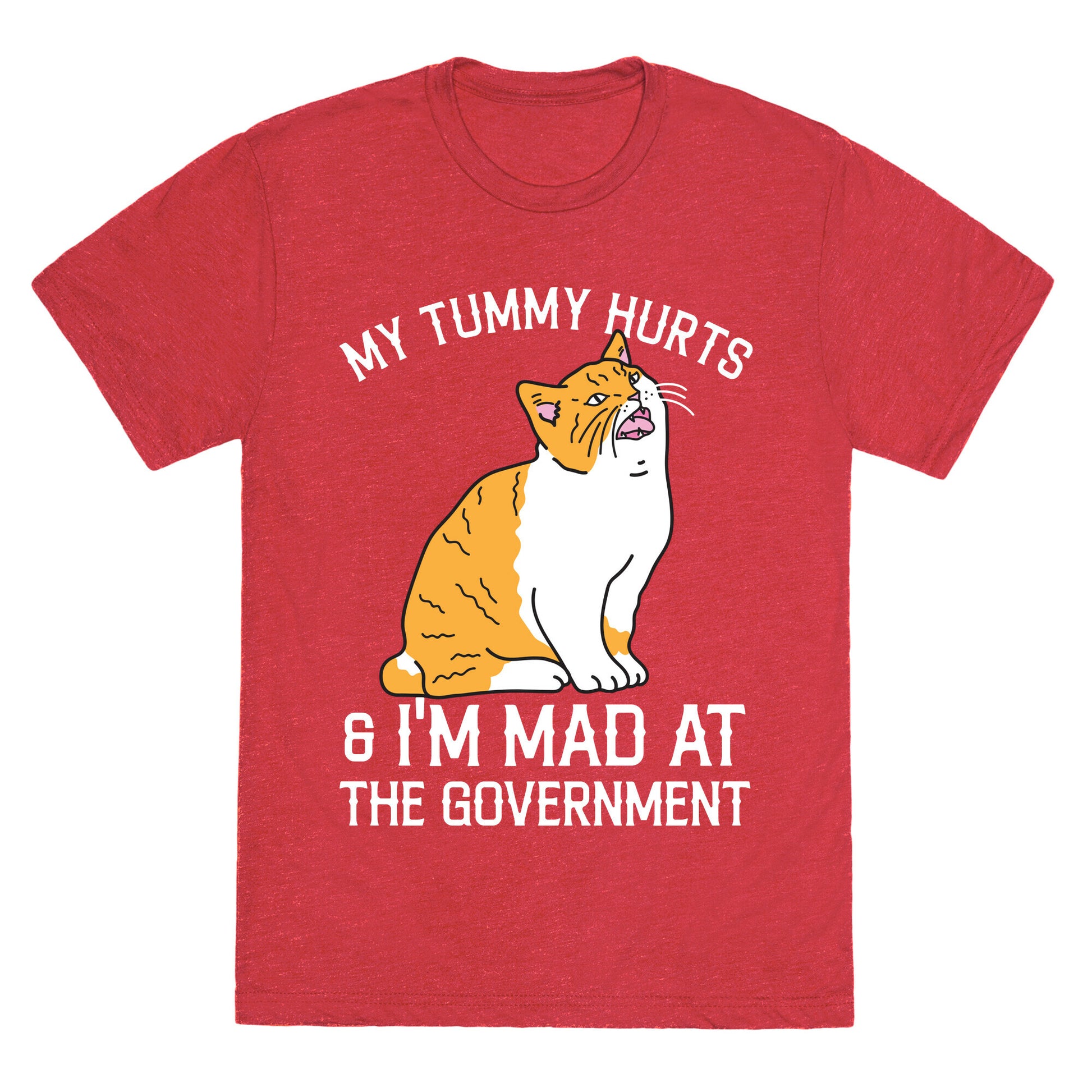 My Tummy Hurts & I'm Mad At The Government  Unisex Triblend Tee