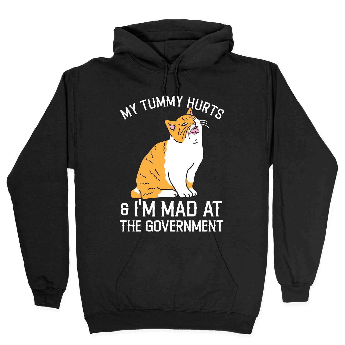 My Tummy Hurts & I'm Mad At The Government Hoodie