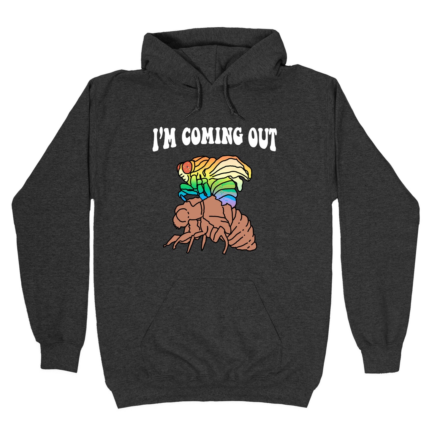 Im Coming Out Hoodie
