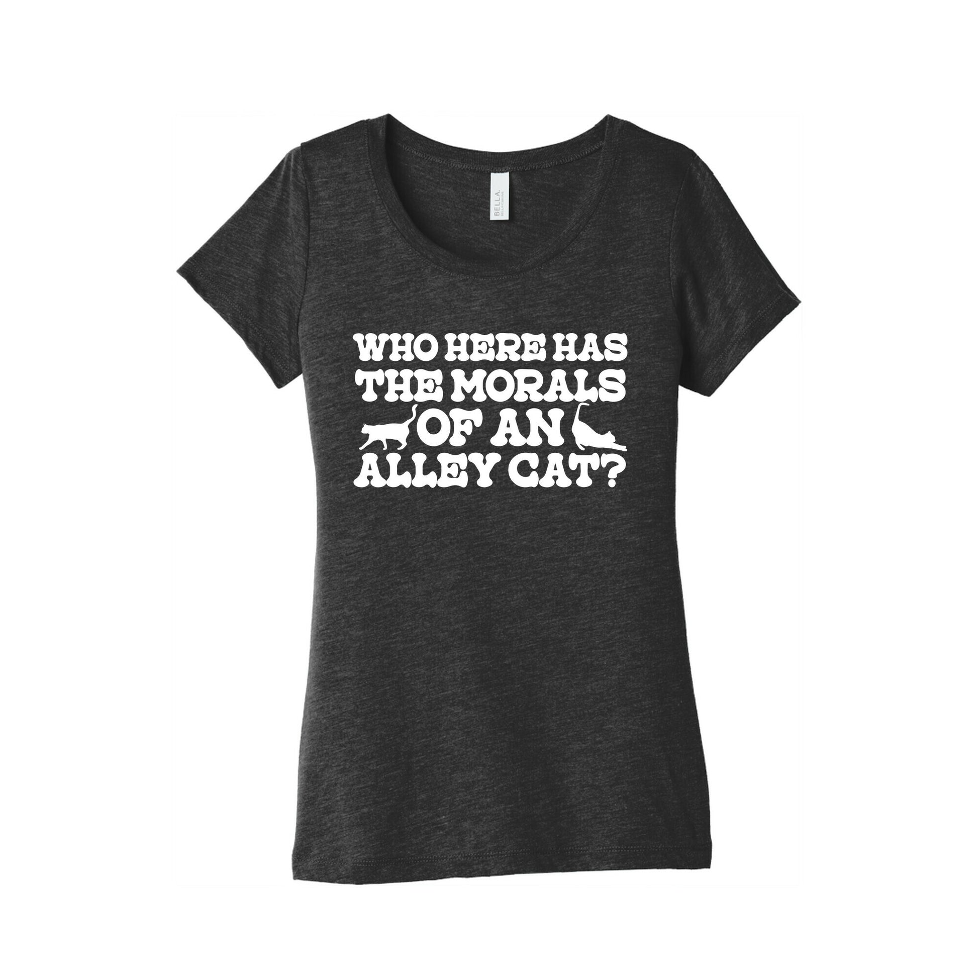 Who Here Has the Morals of an Alley Cat? Womens Triblend Tee
