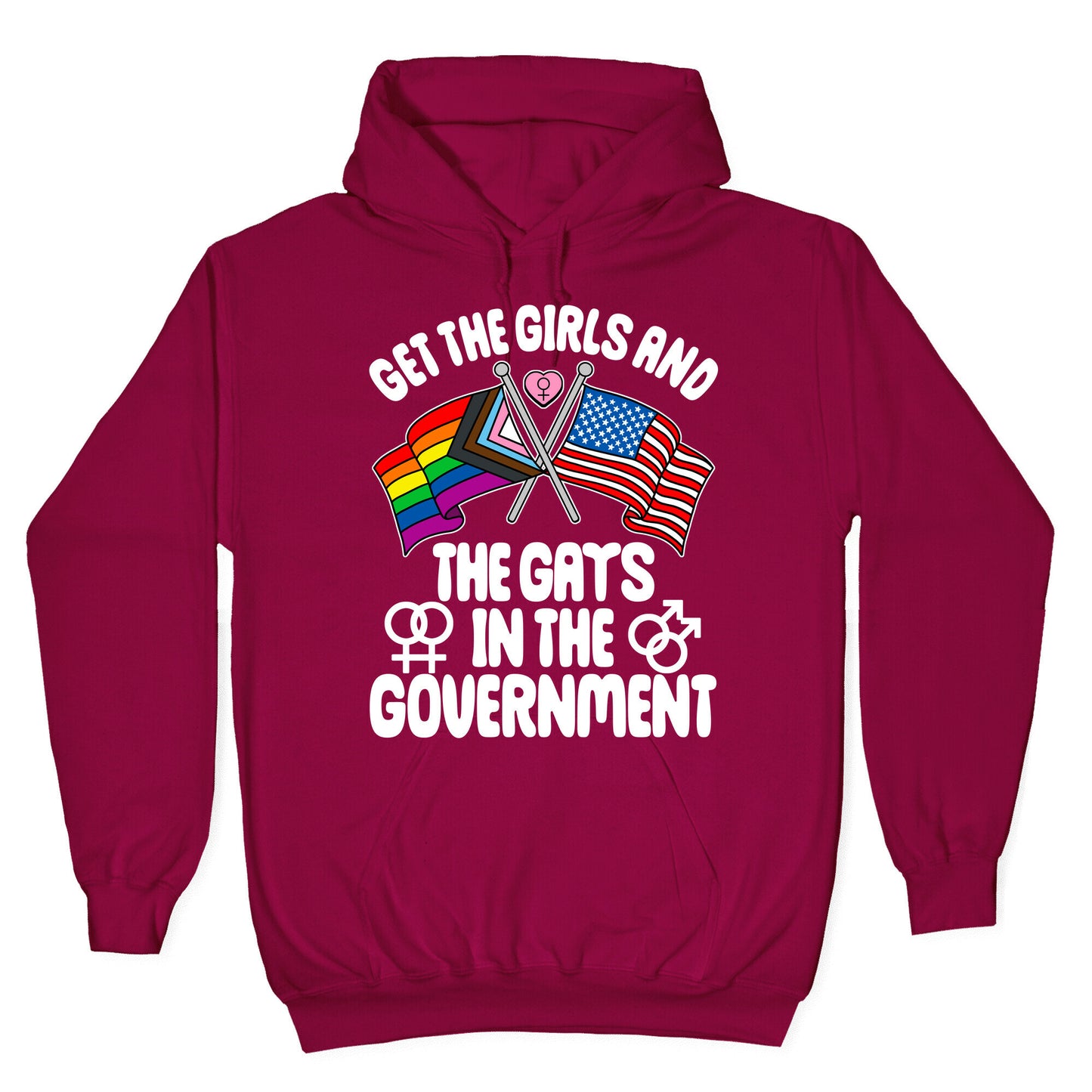 Get The Girls and The Gays In The Government Hoodie