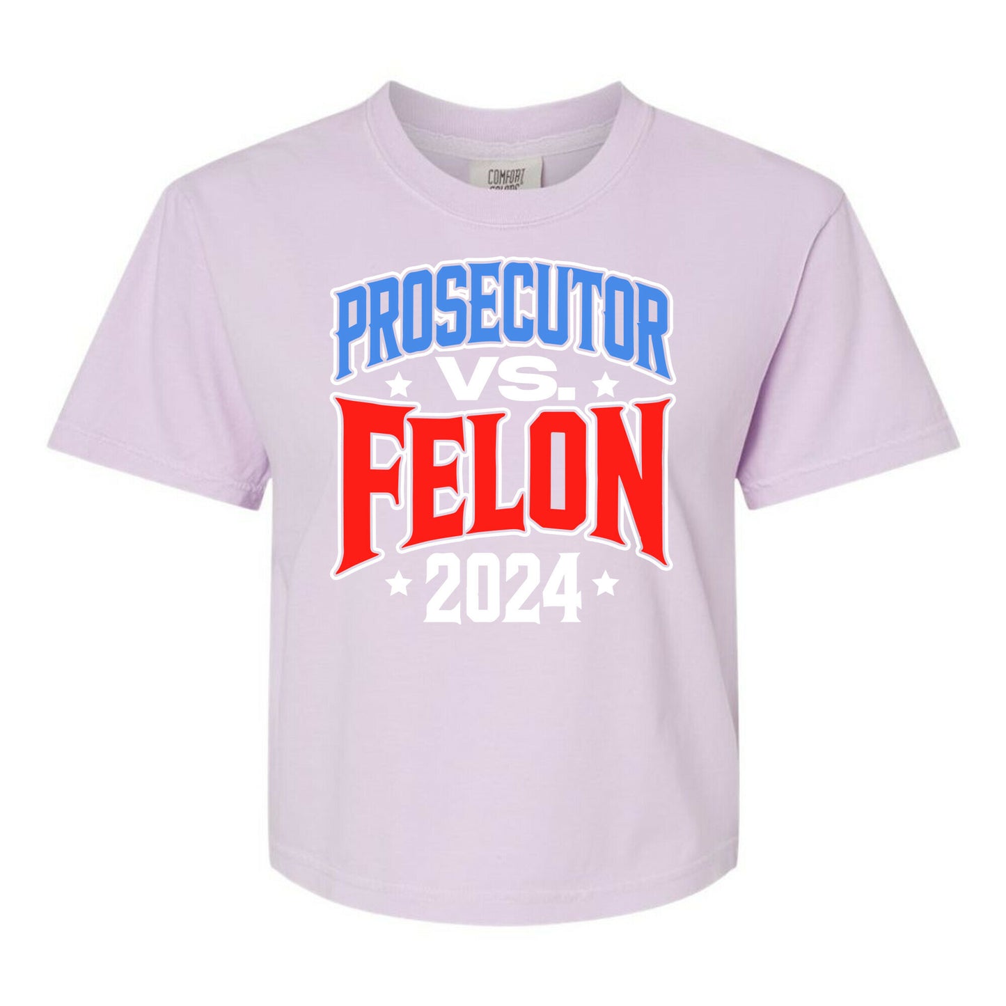 Prosecutor VS. Felon 2024 Womens Cotton Boxy Tee