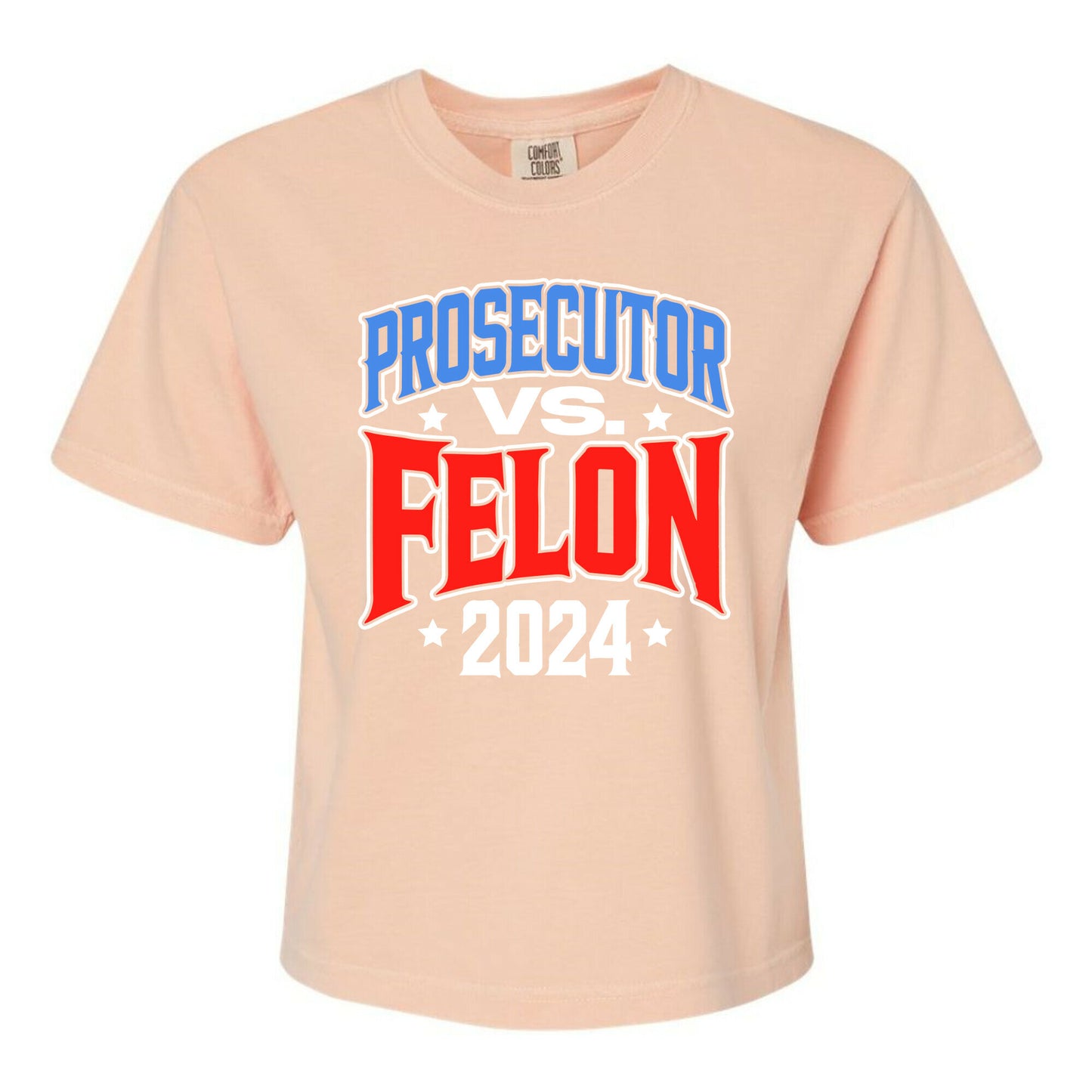 Prosecutor VS. Felon 2024 Womens Cotton Boxy Tee