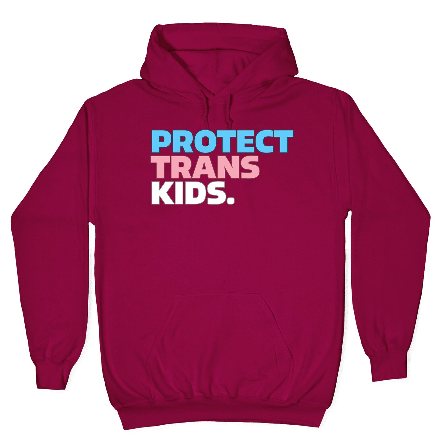 Protect Trans Kids Hoodie