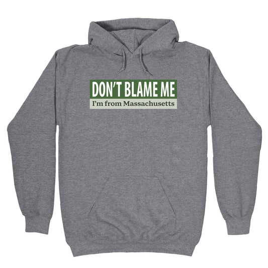dont blame me im from massachusetts Hoodie