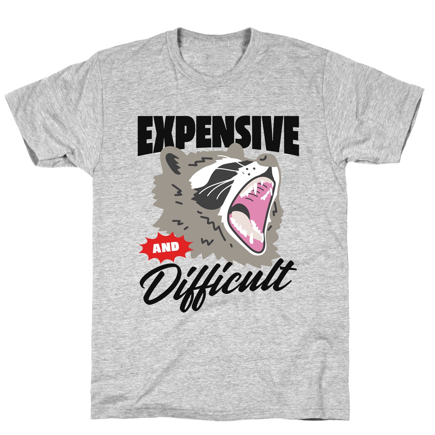 Expensive and Difficult Raccoon T-Shirt