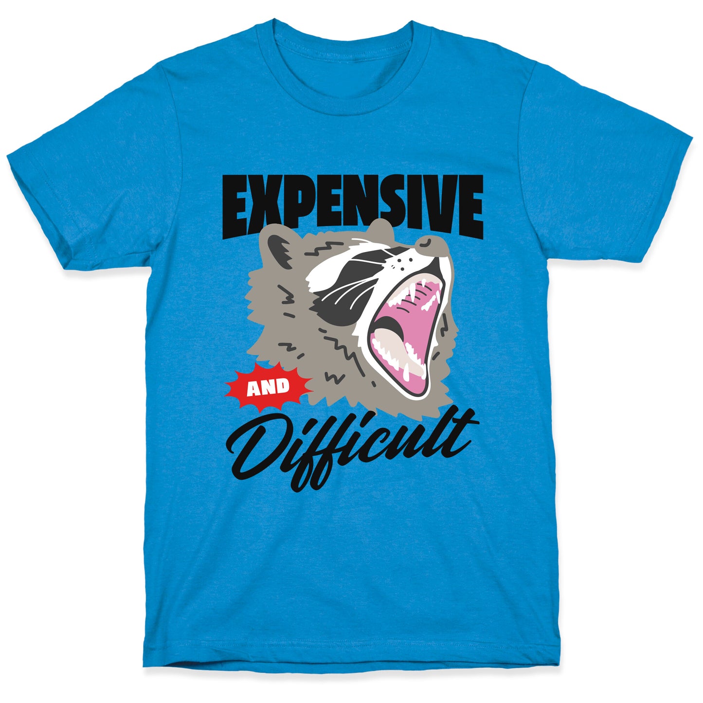 Expensive and Difficult Raccoon T-Shirt