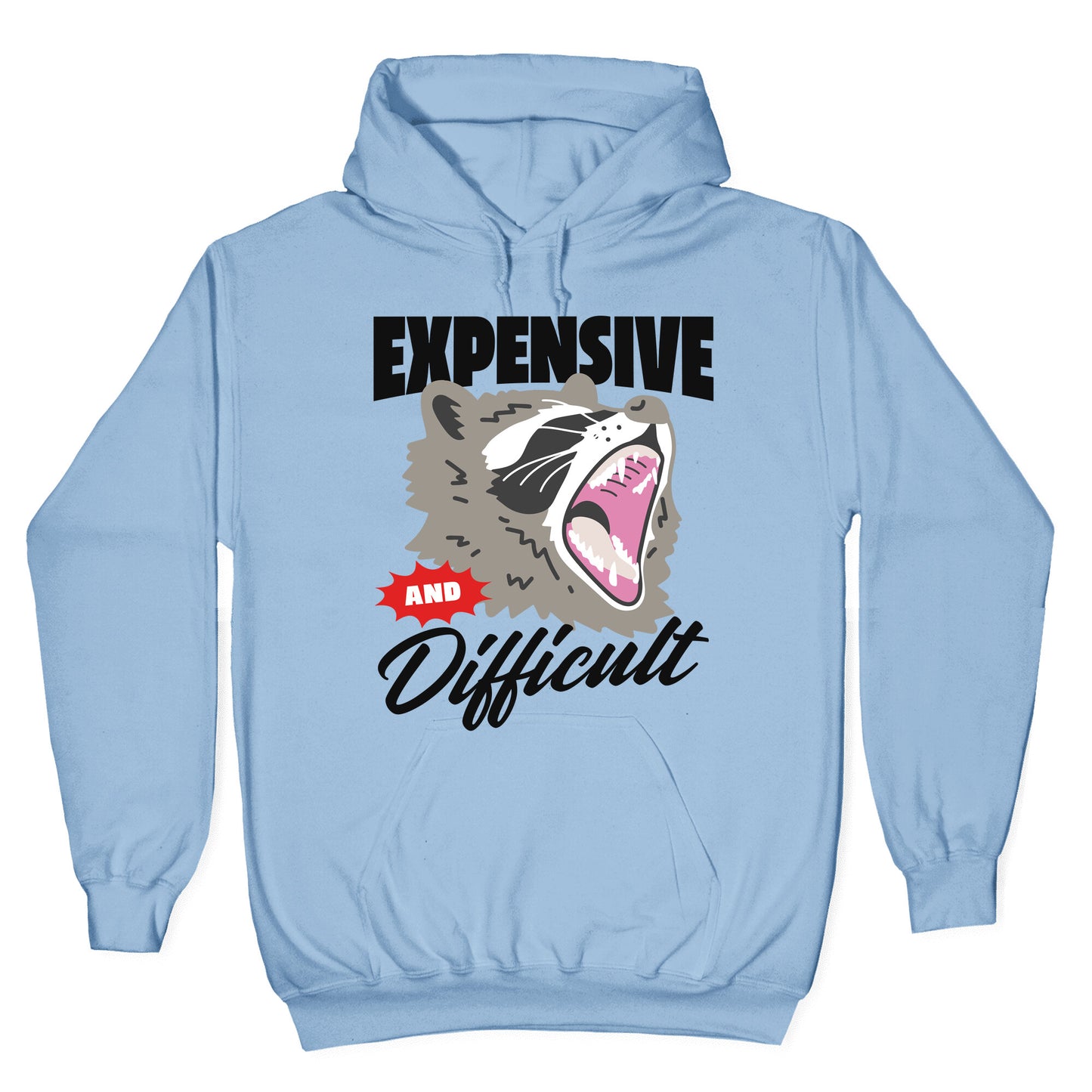 Expensive and Difficult Raccoon Hoodie