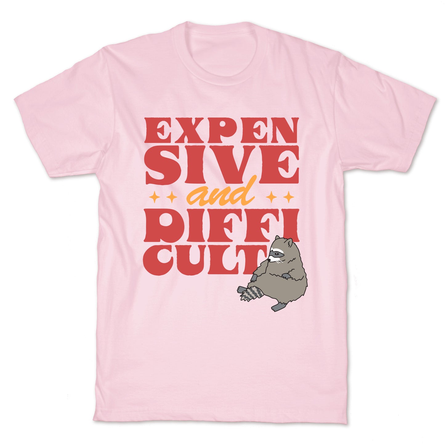 Raccoon Expensive and Difficult T-Shirt