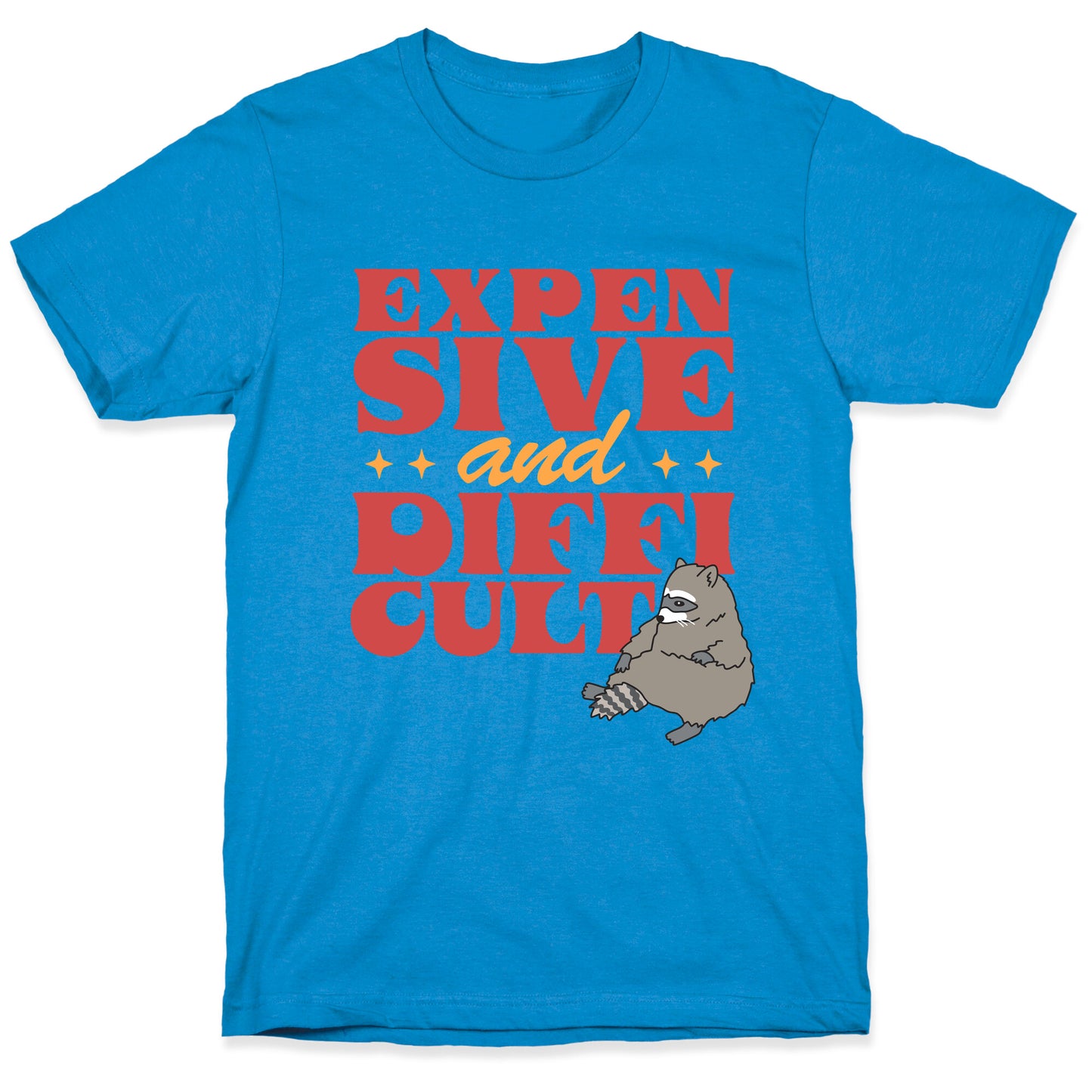Raccoon Expensive and Difficult T-Shirt