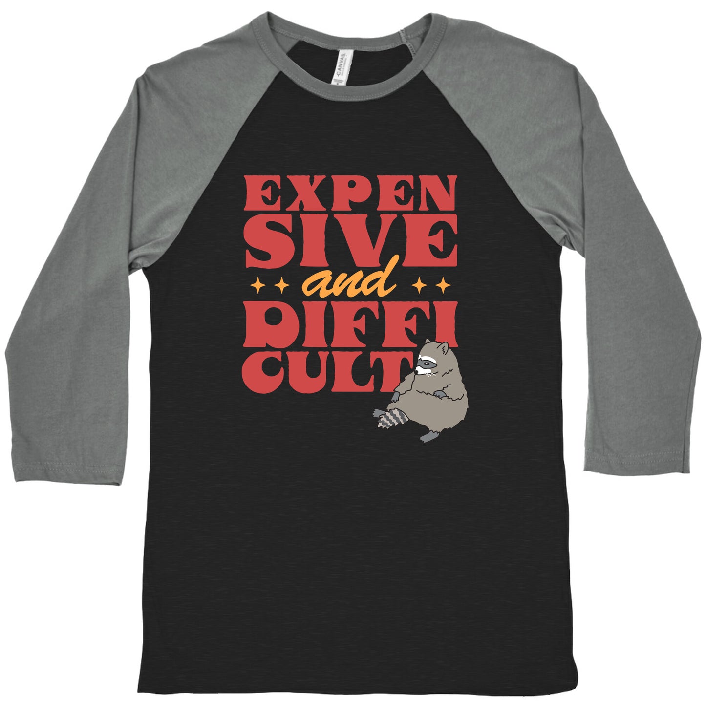 Raccoon Expensive and Difficult Baseball Tee