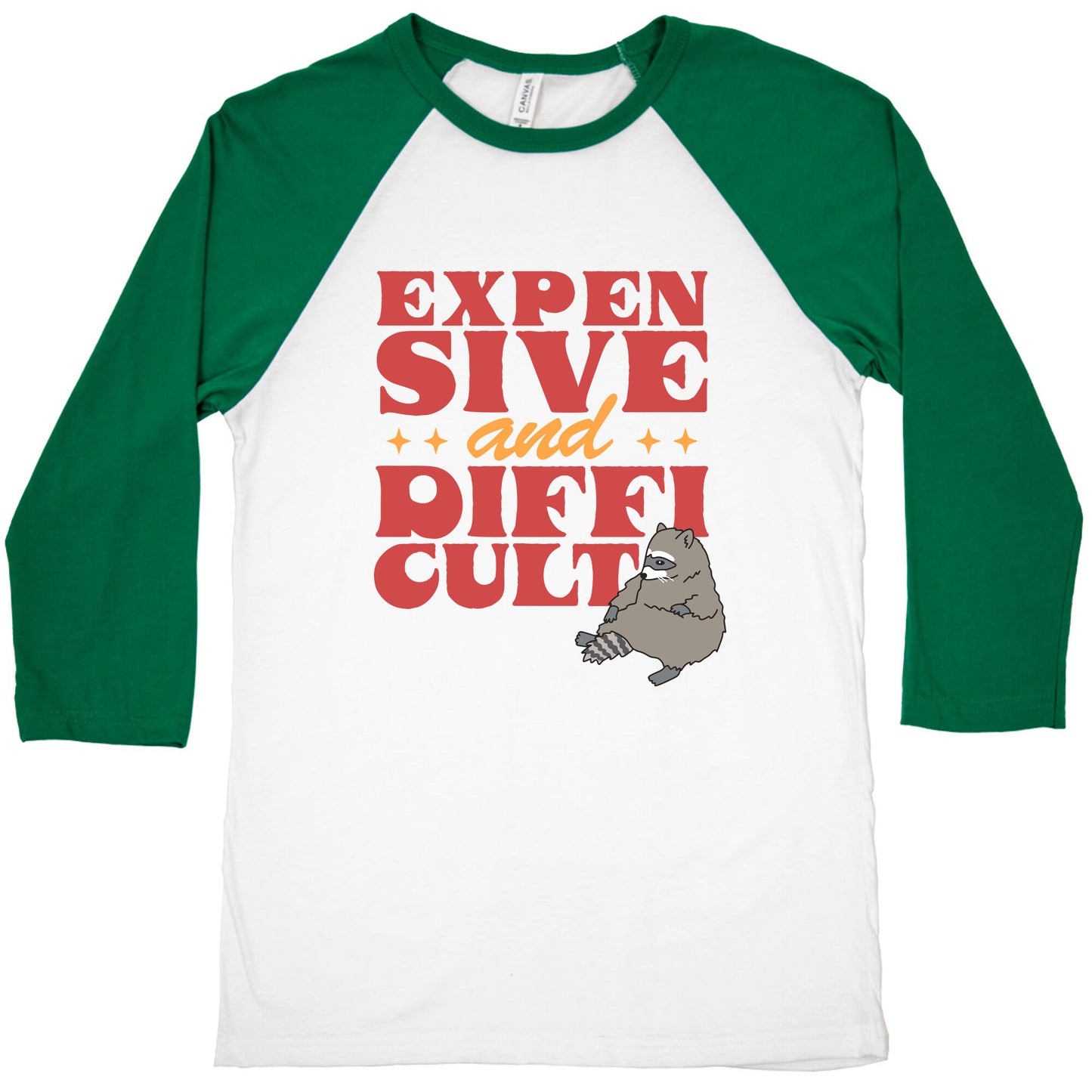 Raccoon Expensive and Difficult Baseball Tee