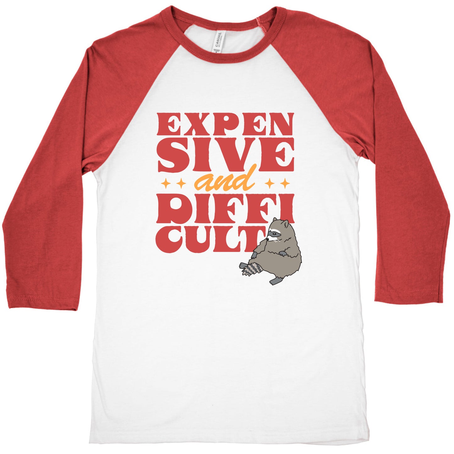 Raccoon Expensive and Difficult Baseball Tee