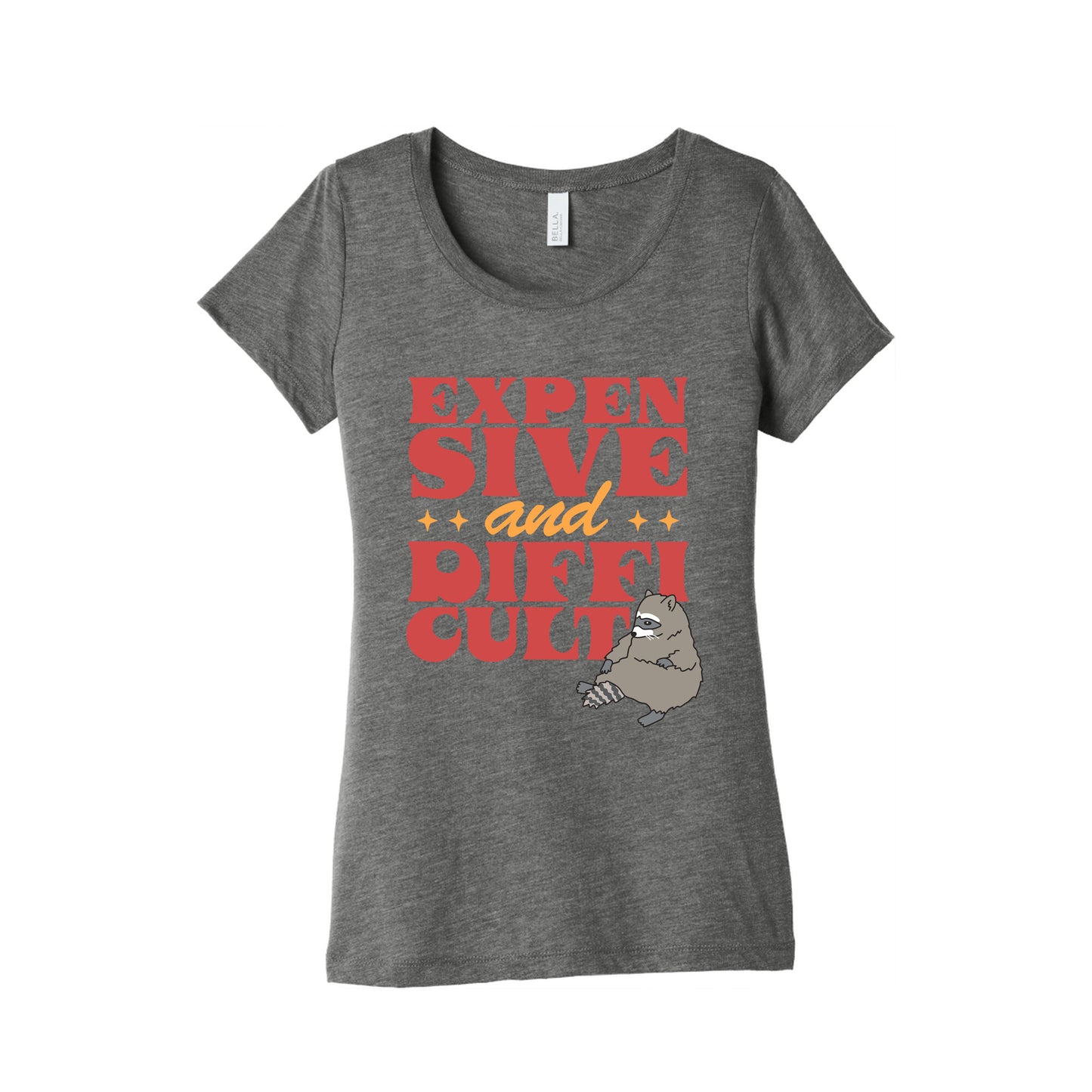 Raccoon Expensive and Difficult Womens Triblend Tee